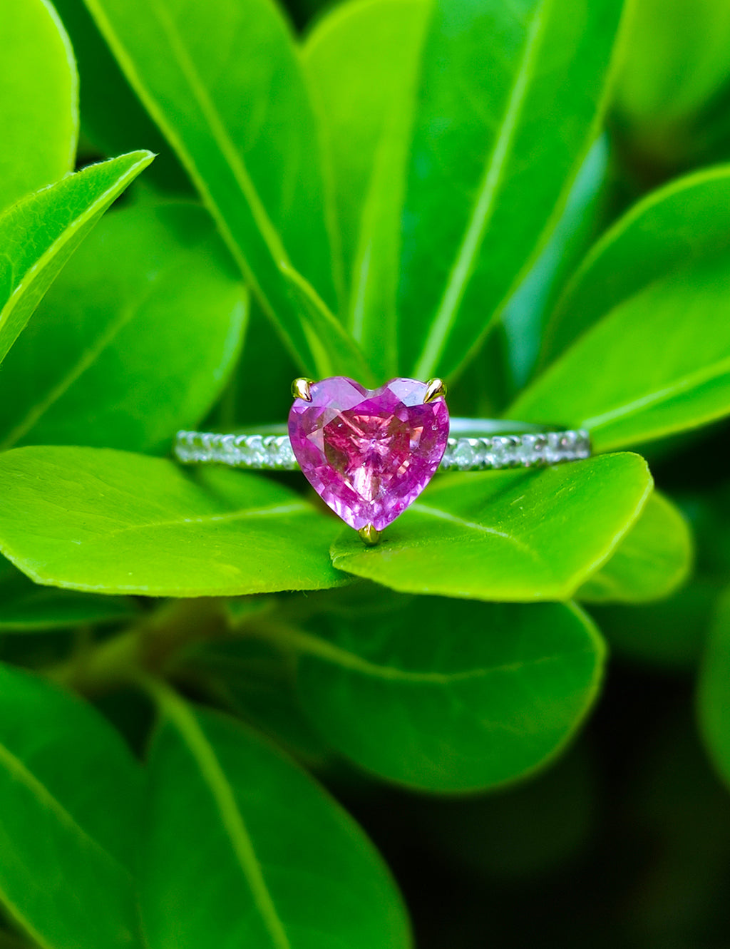1.34 Carat Diamond Sapphire Ring