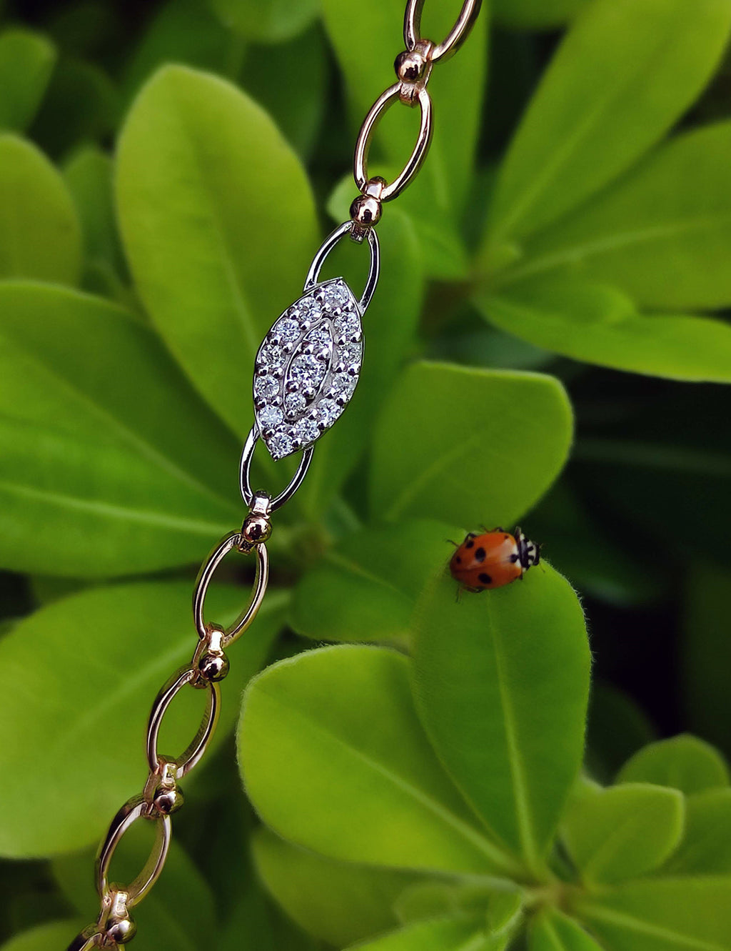 HGBLL00491 PIRLANT Fancy Bracelet