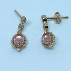 HGKPE001479 PIRLANT Fancy Earrings